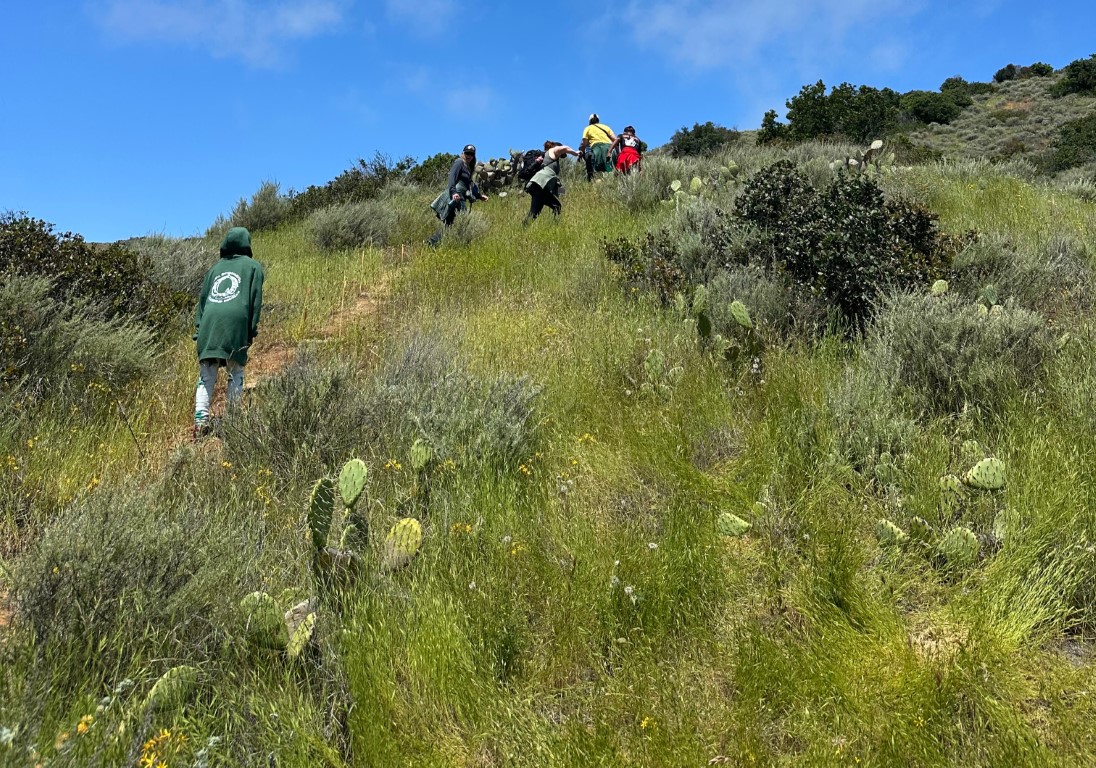 Kids hiking through Catalina Island